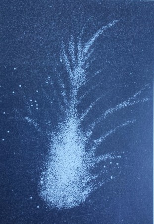 Schets van de Krabnevel waaraan deze zijn naam dankt